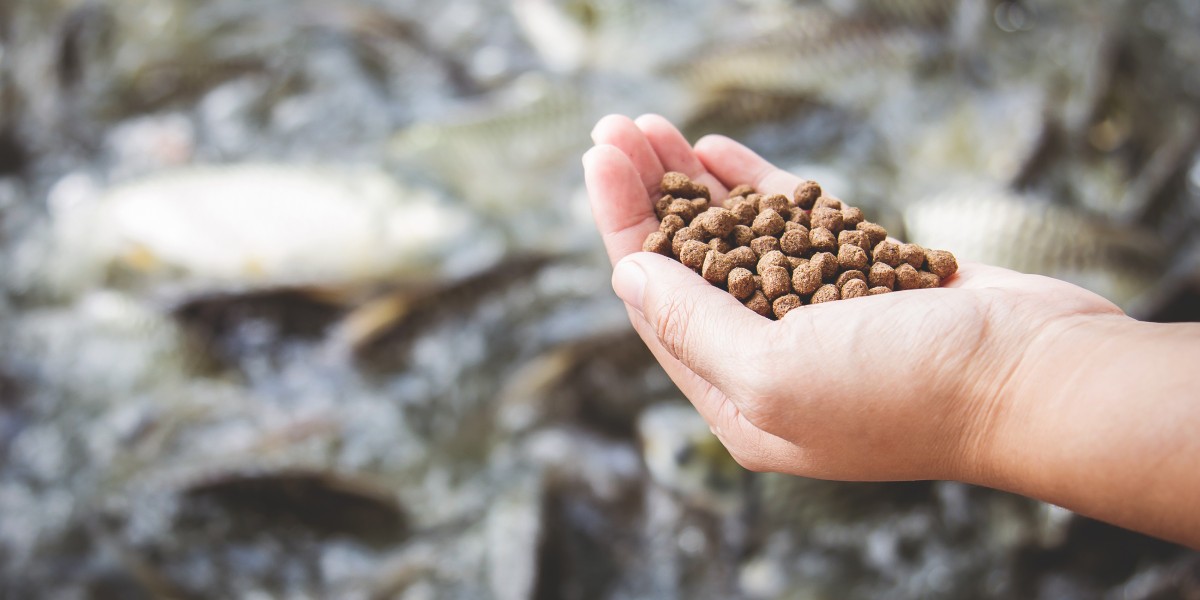 Aquaculture Feed Market Dynamics Shaping Future Growth Trends, Innovations, and Competitive Landscape