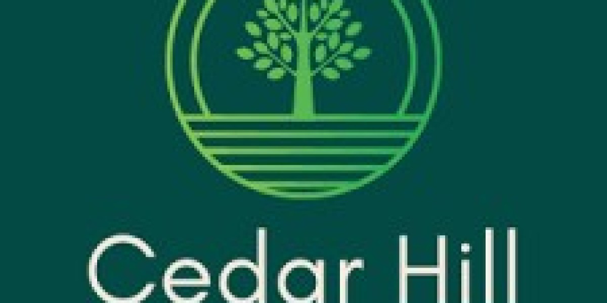 Top 10 Affordable Cedar Hill Tree Services for Safe and Reliable Care