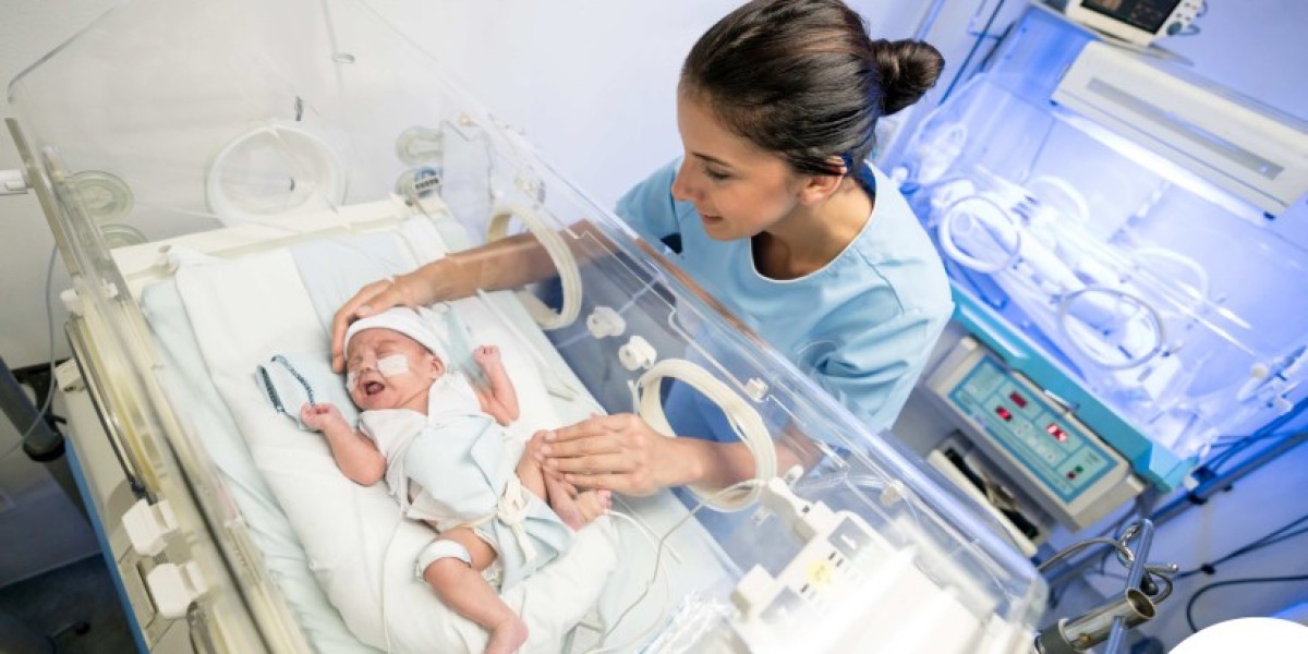 Preterm Births and PROM Testing Market Research Shows Technological Advancements Driving Healthcare Growth