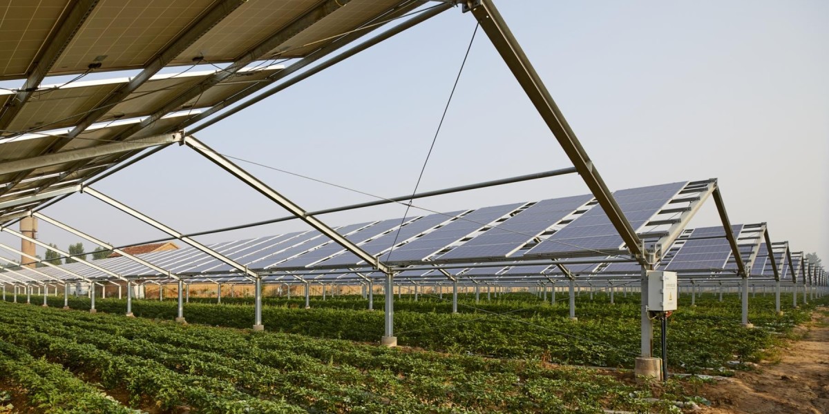 Global Agrivoltaics Market Size and Growth Trends through 2032