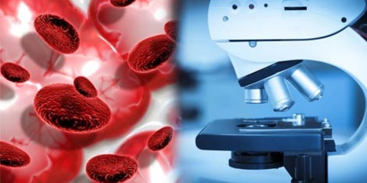 Navigate the Blood Cancer Diagnostics Market Size Share and Technological Advancements