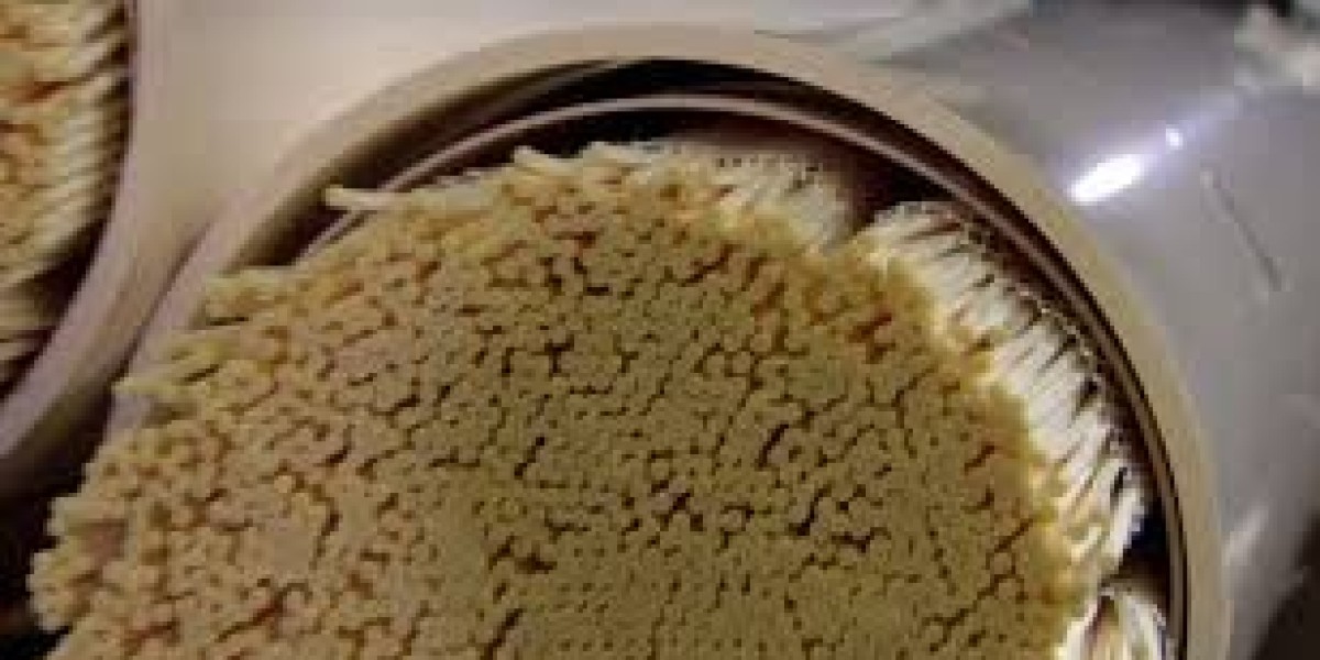 Ultrafiltration Membranes Market Investment Opportunities Emerging Across Asia Pacific Regions