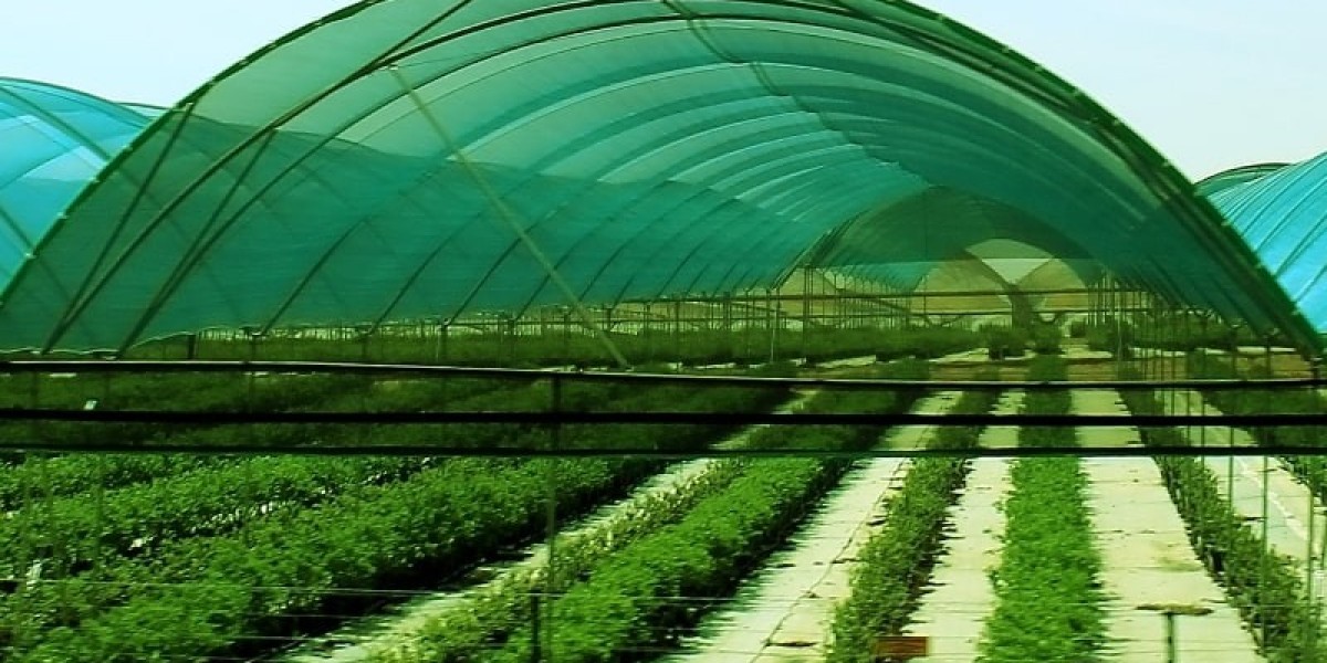 Shade Net Market Size, Trends, and Growth Opportunities 2025-2032