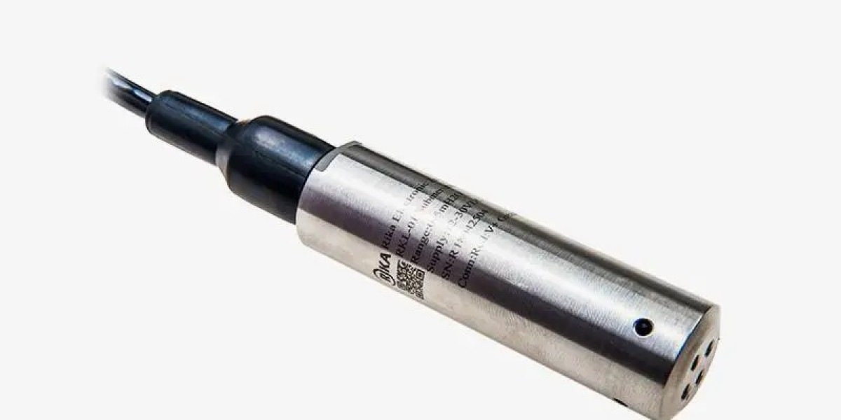 Rika Sensor Level Transmitter Manufacturers: Commitment to Customer Customization