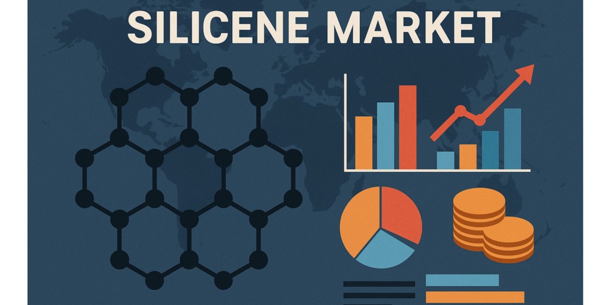 Global Silicene Market: Competitive Landscape and Outlook