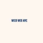 weedwebnyc profile picture