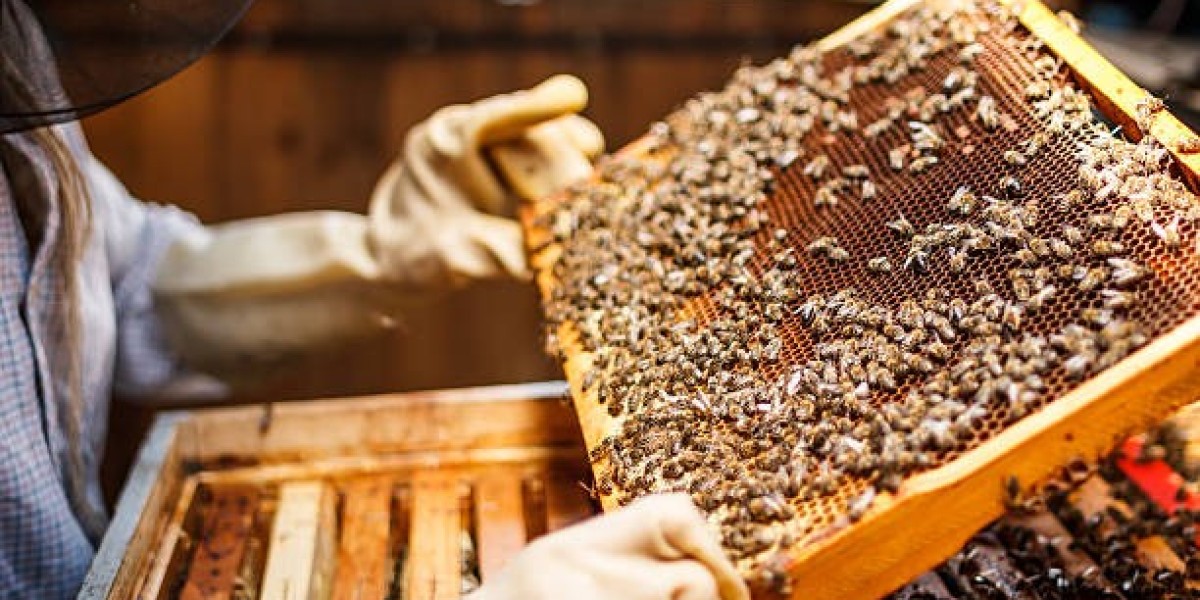 Top Apiculture Market Size Share and Growth Outlook Report