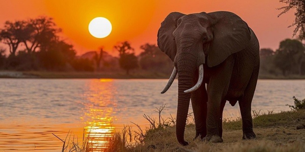 80 Elephant Quotes: Wisdom, Strength, and Gentle Giants