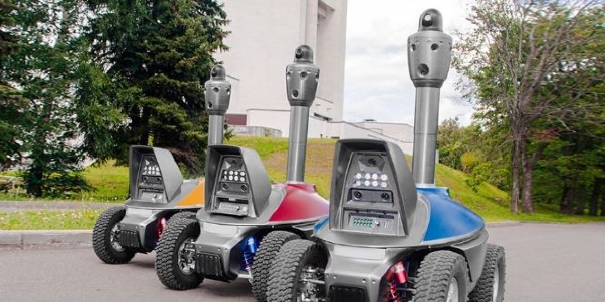 The Rise of Outdoor Autonomous Robots: Market Trends and Future Opportunities
