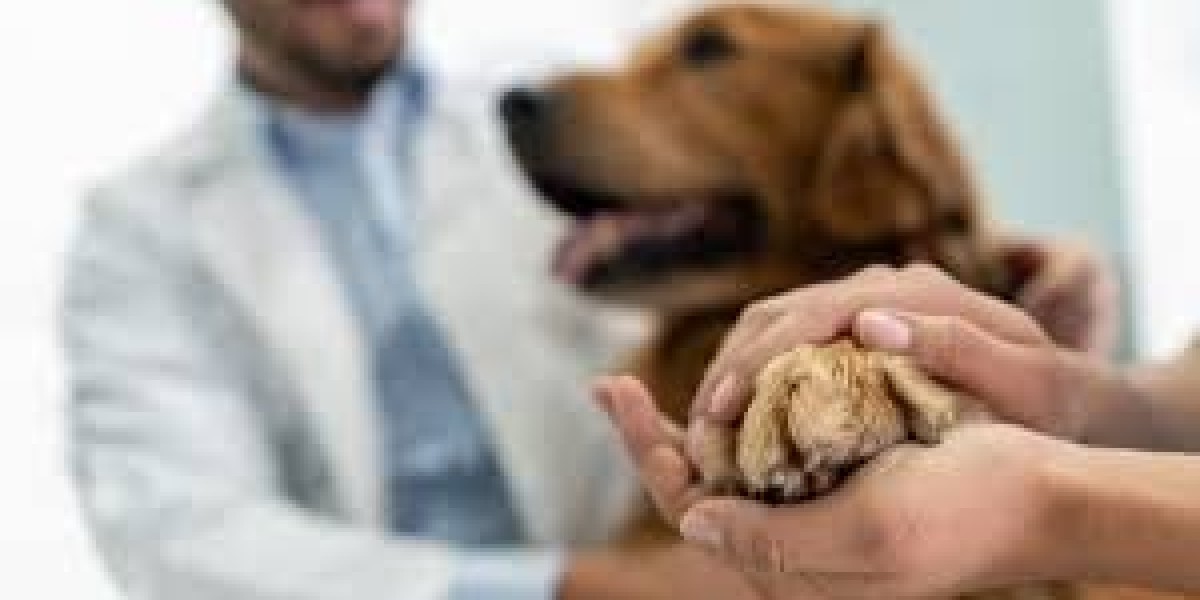 Animal Parasiticides Market product type segmentation and formulation demand landscape studied