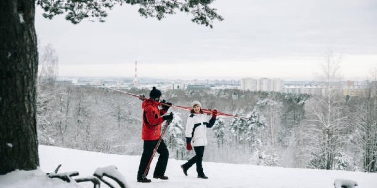 Winter Wonderland: Best Winter Activities in Estonia