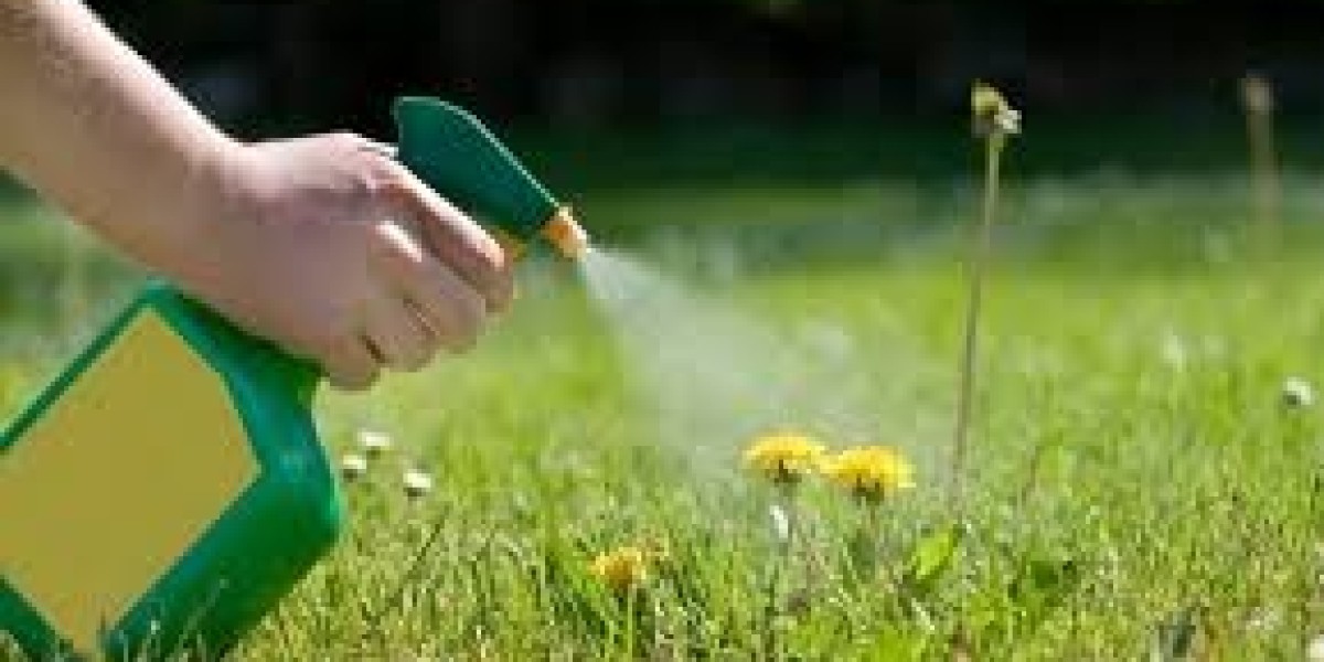 Herbicides Safener Market Analysis: Size, Share & Forecast