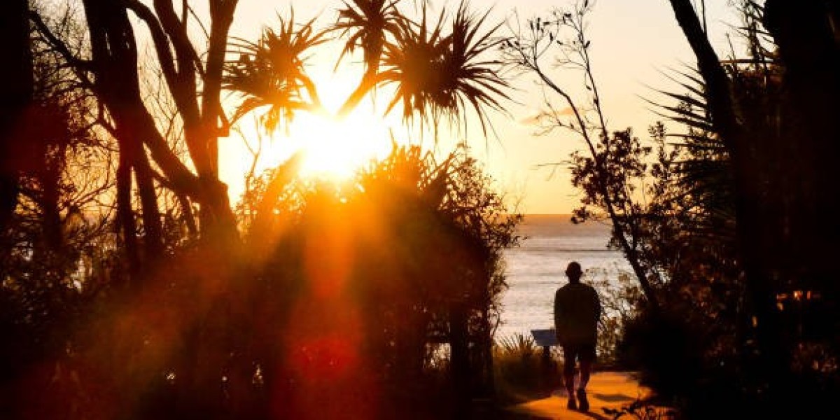 Navigating Mental Wellness with a Psychologist in Brisbane