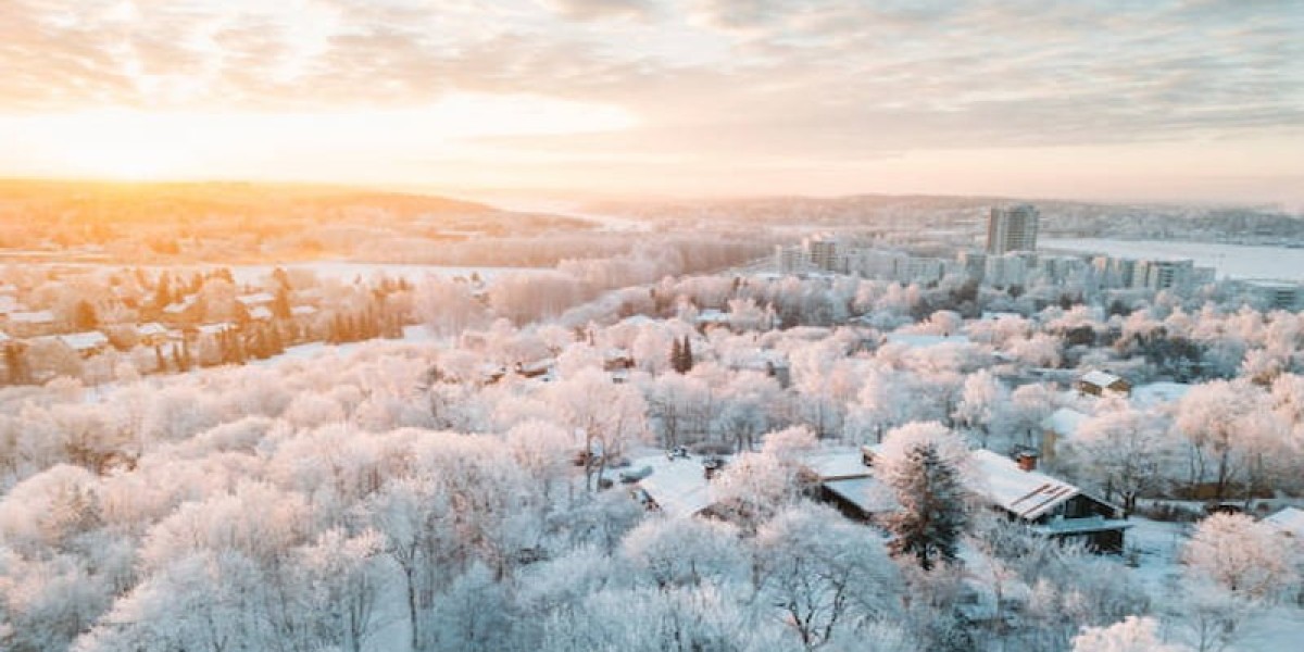10 Reasons to Visit Finland in Winter 