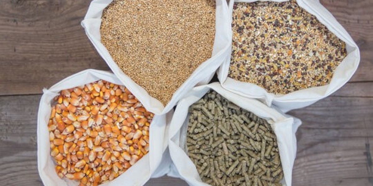 Animal Feed Antioxidants Market Intelligence and Emerging Trends Shaping the Global Livestock Industry