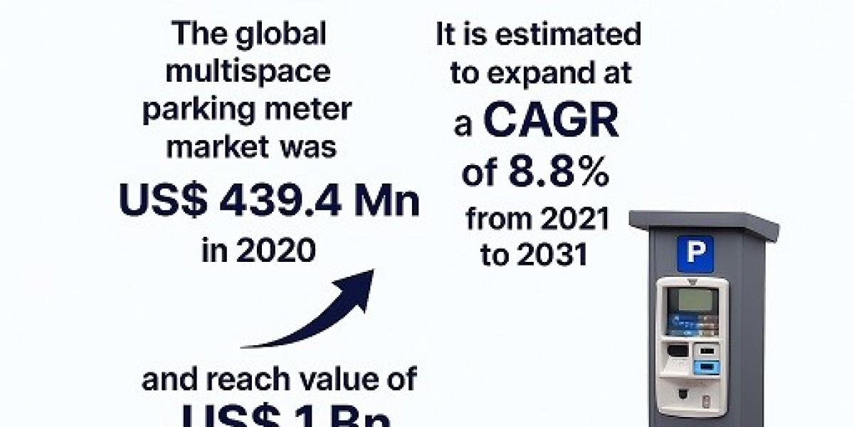 Multispace Parking Meter Market Witnesses Surge as Municipalities Embrace IoT-Enabled Systems