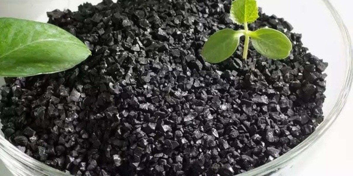 Humic Acid Market Forecast Indicates Strong Growth Amid Shift Toward Eco-Friendly Farming Solutions