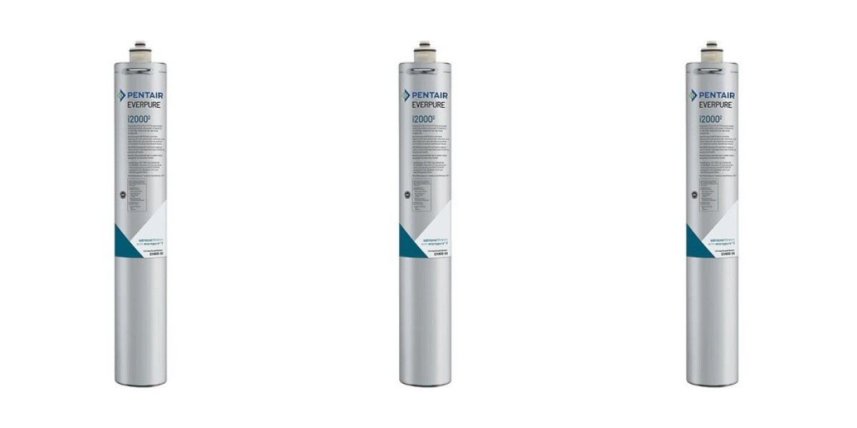 Why the Everpure i2000 Is Essential for Ice Machine Water Filtration