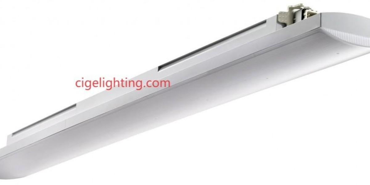 Cigelighting's Mastery of Thermal Dynamics in Waterproof Lighting