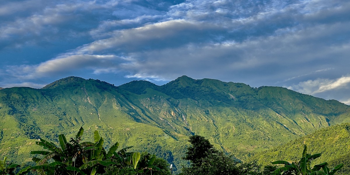 Celebrate a Divine Janmashtami Amidst the Wilderness at Resorts by the Baagh