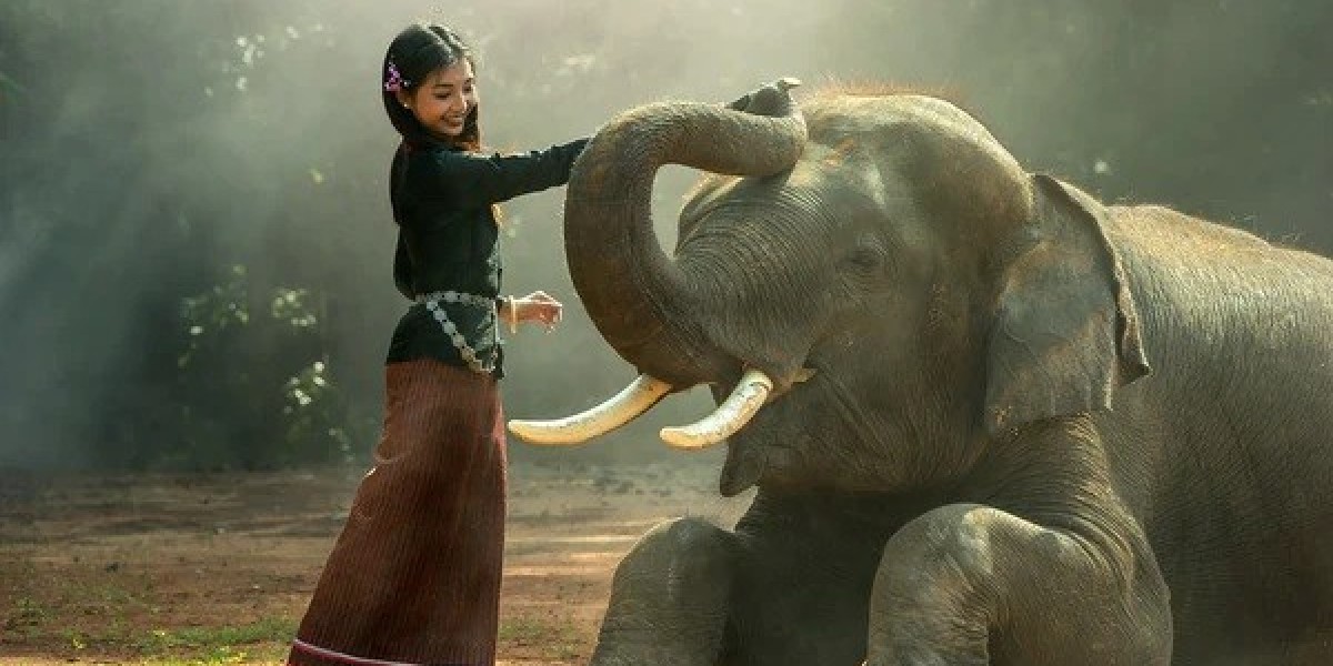 Elephant Symbolism: Meaning as an Animal Totem