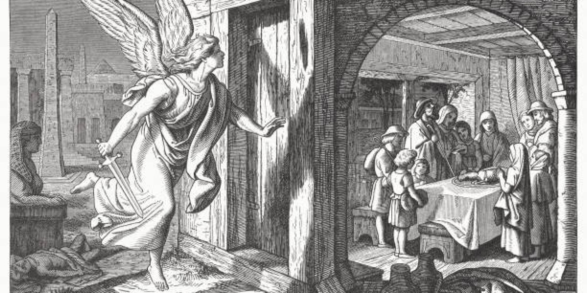 How Is Covenant Established in Exodus?