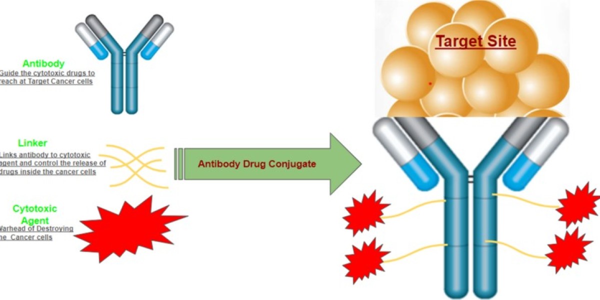 Key Insights on Global Antibody Drug Conjugates Market Size, Share and Forecast 2032