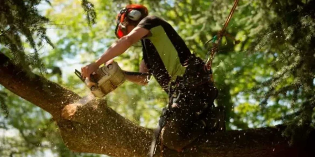 Tree Removal: The Complete Homeowner's Guide to Safe and Smart Tree Removal