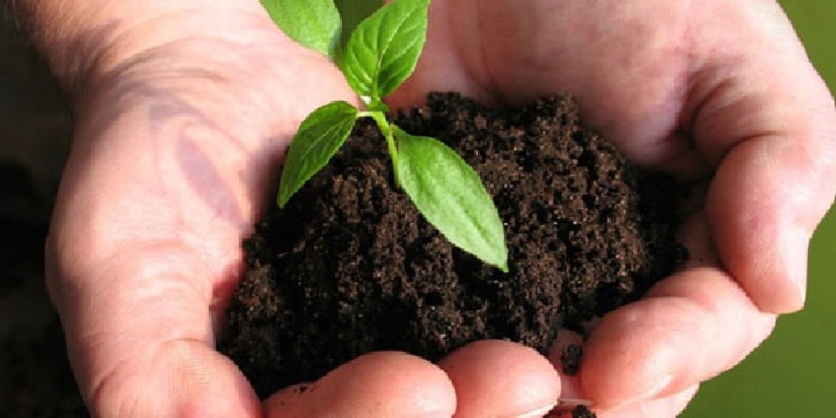 Biofertilizers Market Forecast Highlighting Future Growth, Regional Trends, and Investment Opportunities Ahead