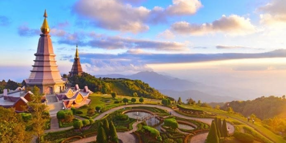 Top Traits to Look for in the Best India Tour Company