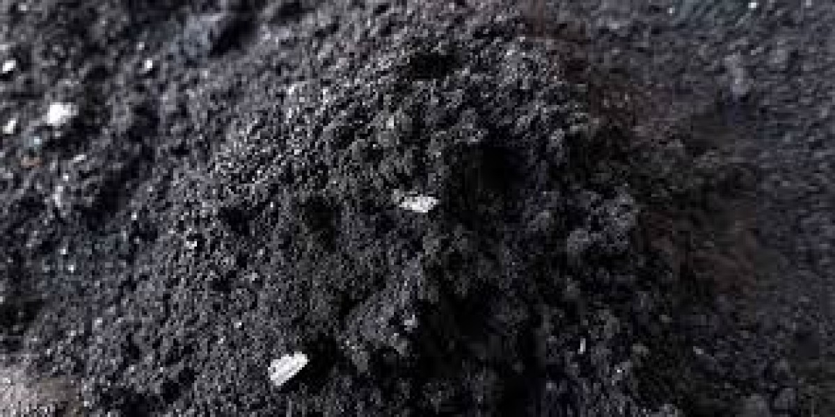 Biochar Market expanding applications across water filtration, livestock feed, and bioenergy sectors 