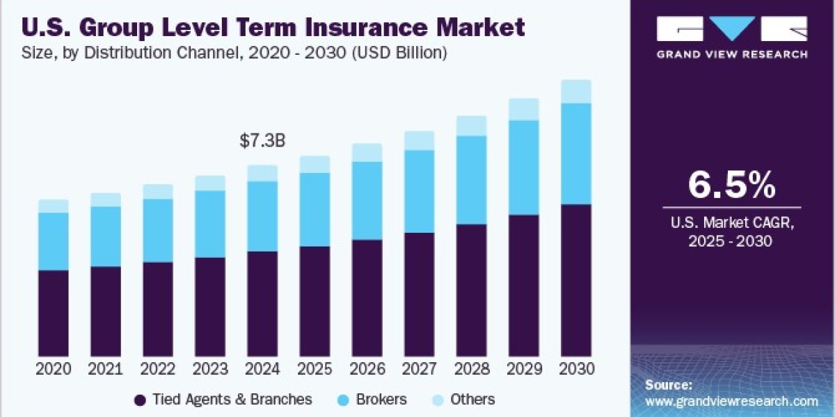 U.S. Group Level Term Insurance Market 2030: Future-Proofing Your Workforce