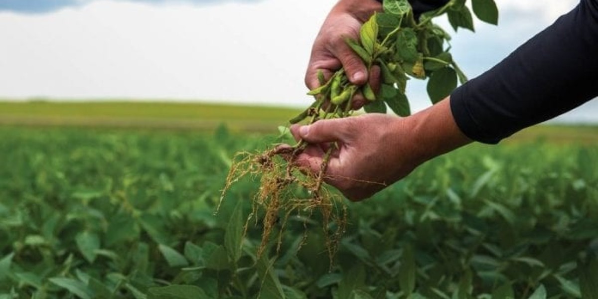 Fertilizing the Future: How Agricultural Inoculants are Driving Sustainable Farming