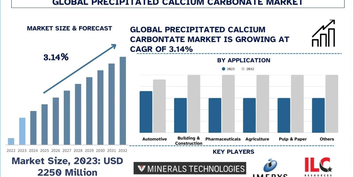 Precipitated Calcium Carbonate Market  Review, Industry Growth and Forecast Metrics (2024-2032) |UnivDatos