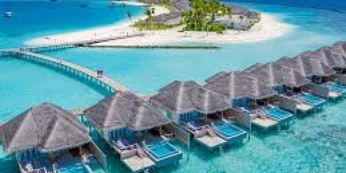 Top Reasons to Choose a Mauritius or Vietnam Tour Package