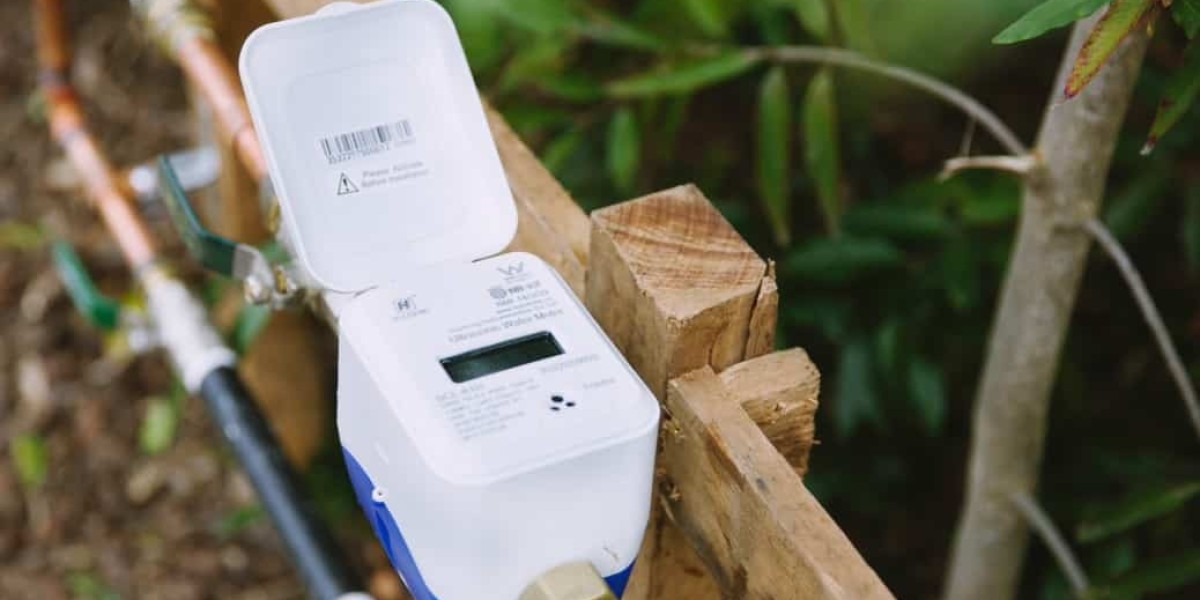 Global Water Meter Market: Size, Trends, and Growth Opportunities