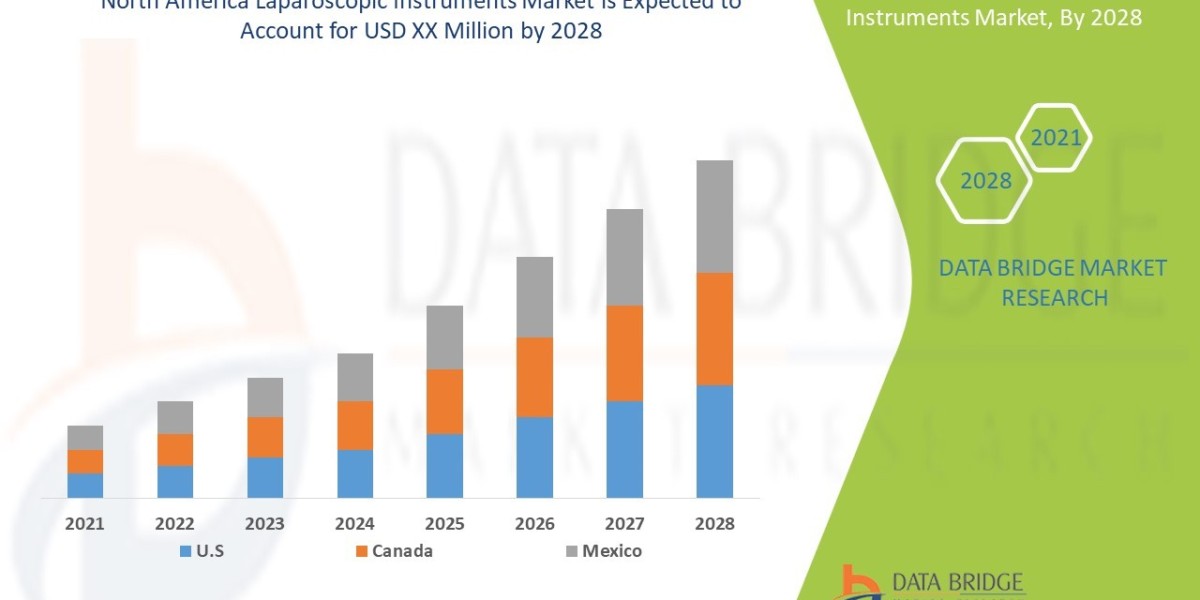 North America Laparoscopic Instruments Market Overview, Growth Analysis, Trends and Forecast By 2028