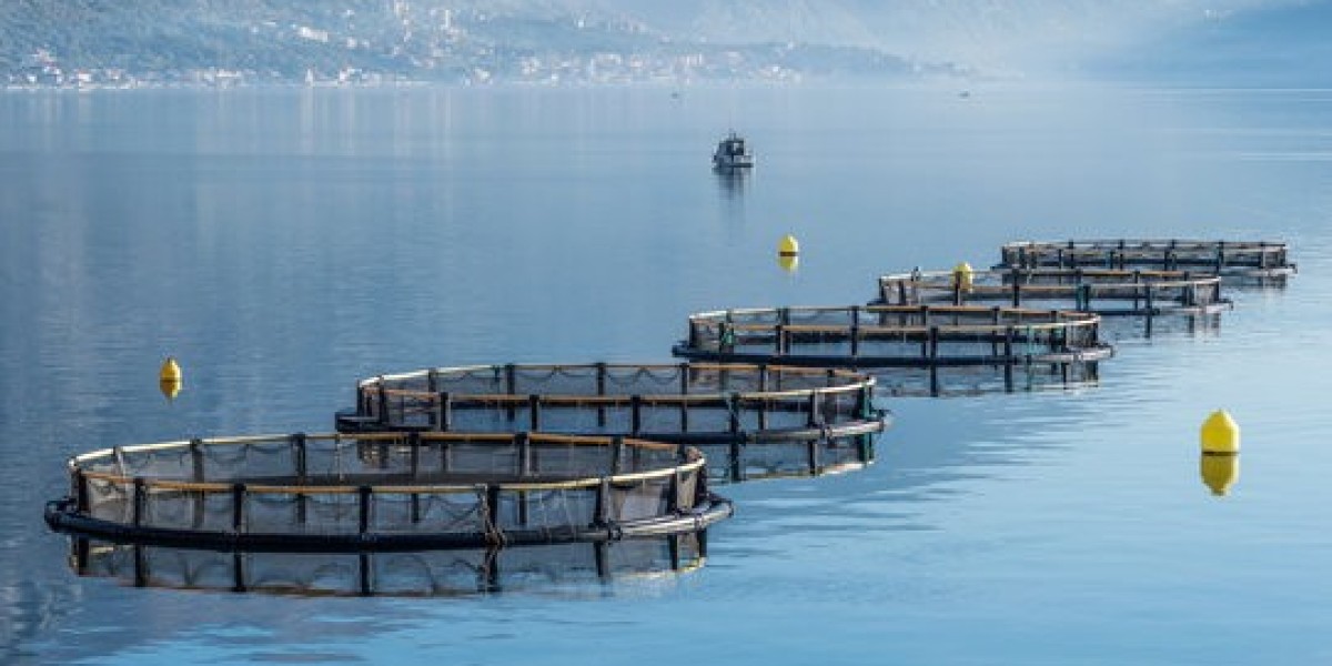 Aquaculture Market Dynamics Driven by Technological Innovation, Demand Surge, and Environmental Pressures