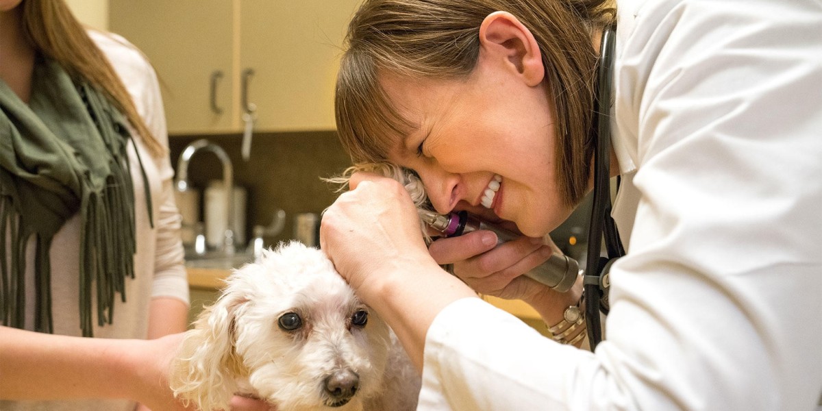 Veterinary Dermatology Drugs Market Size and Growth Analysis 2025-2032