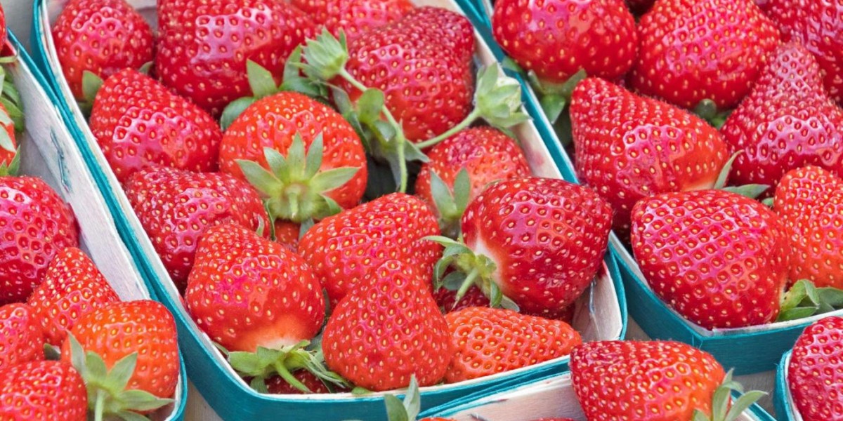 Food Punnets Market 2025 | Scope of Current and Future Industry 2035