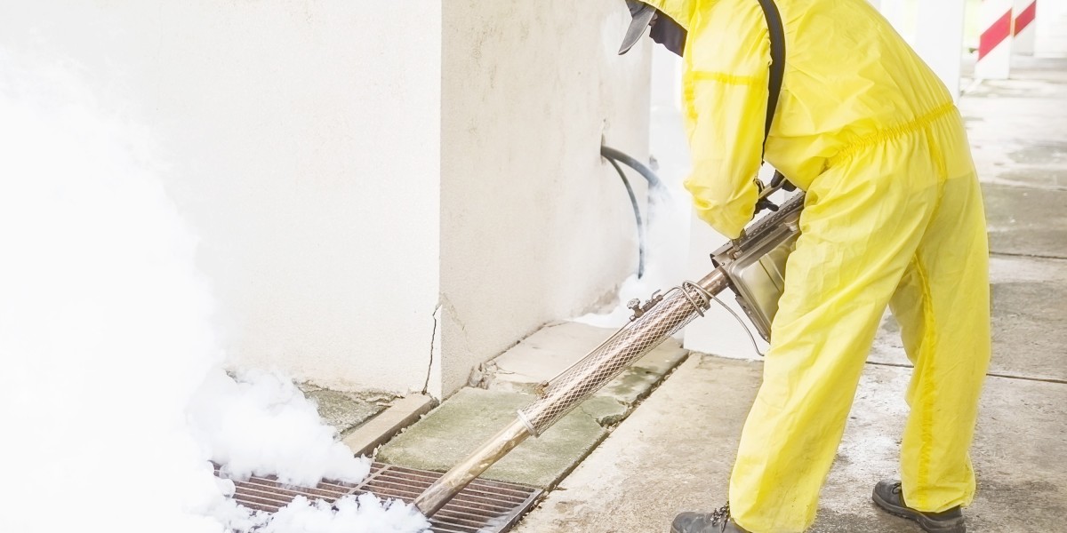 Termite-Treatment-Toronto: Safeguard Your Home with Proven Local Solutions