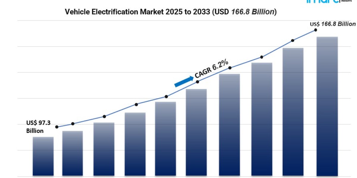 Vehicle Electrification Market Outlook: Key Players, Regions & Segment Analysis