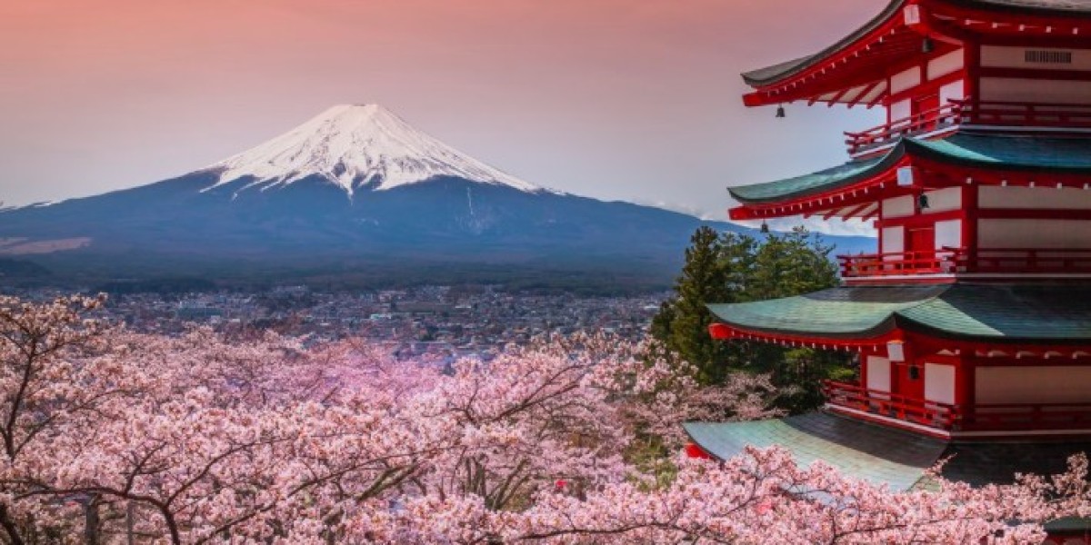 Nikko Tours and Kamakura Tours — Discover Japan’s Sacred Trails