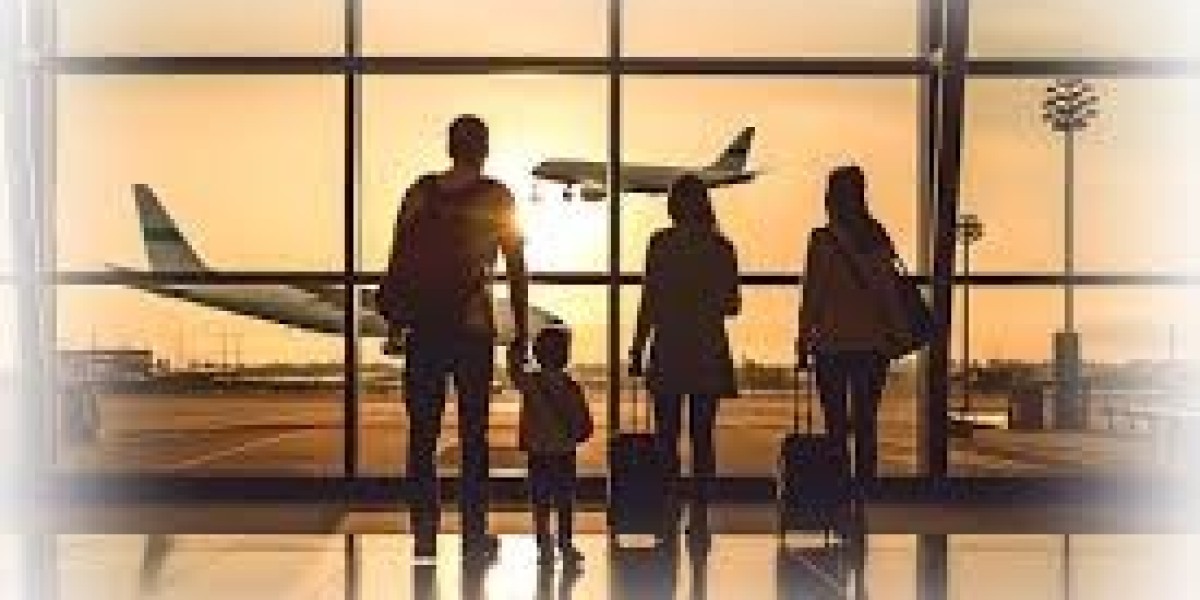 Travel Insurance Market Forecast and Regional Performance Overview from 2024 to 2030