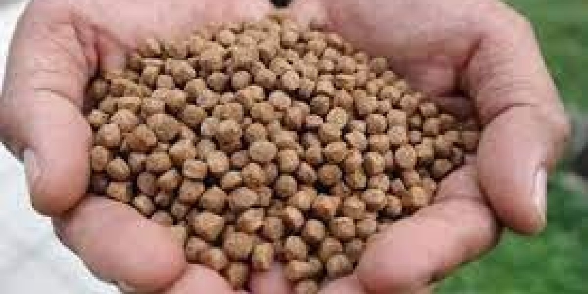 Animal Probiotics Market consumer awareness and education driving adoption across global livestock sectors