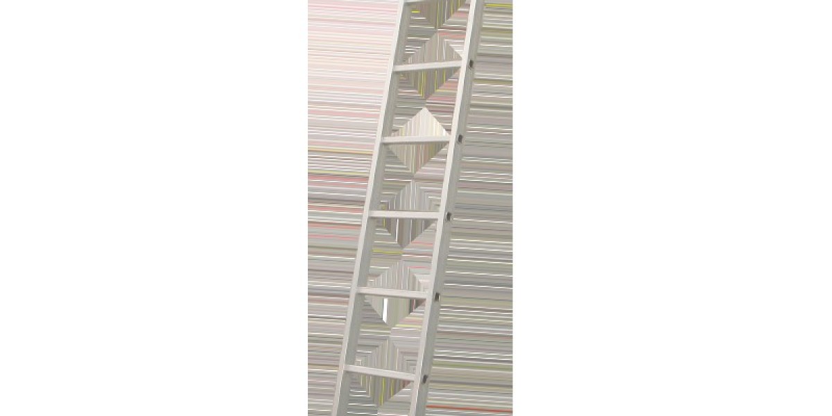 The Latest Advancements in Single Ladder Technology