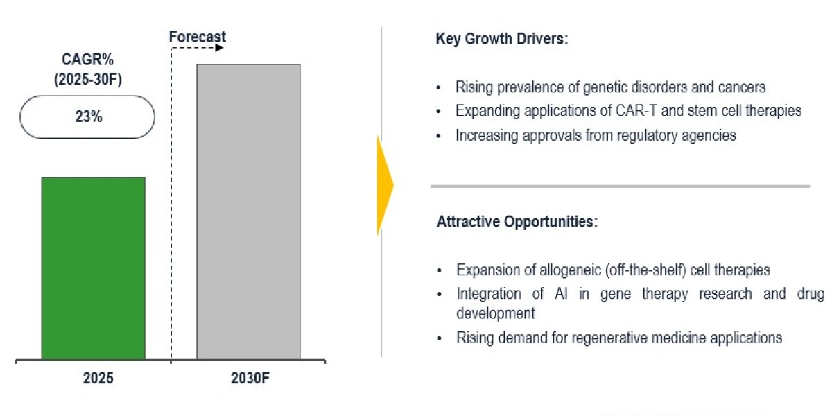 Global Cell and Gene Therapy Market Sees 23% CAGR, Accelerating Rare Cure Discoveries 2030