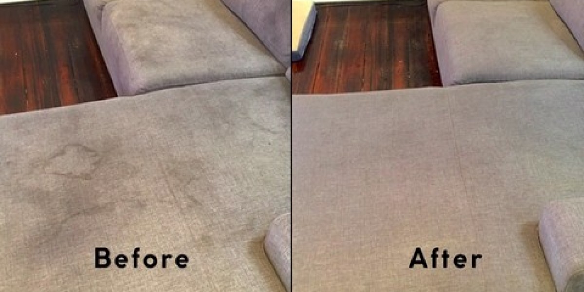 Professional Carpet Cleaning Sydney – Trusted Experts in Carpet Care