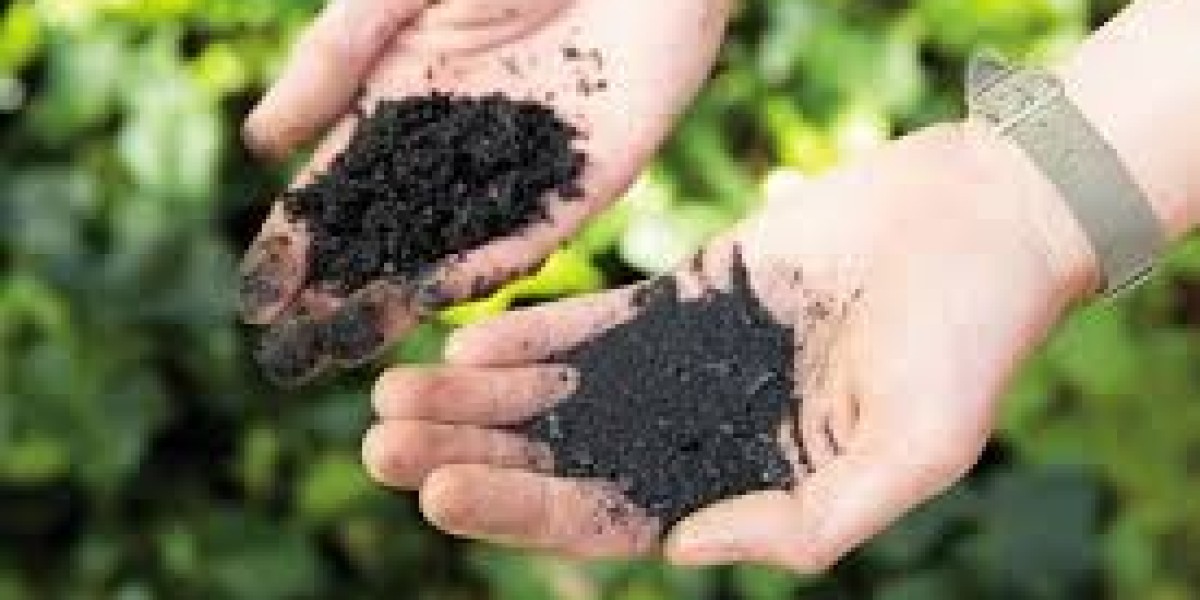 Biochar Market opportunities in waste management, energy production, and carbon offset initiatives globally