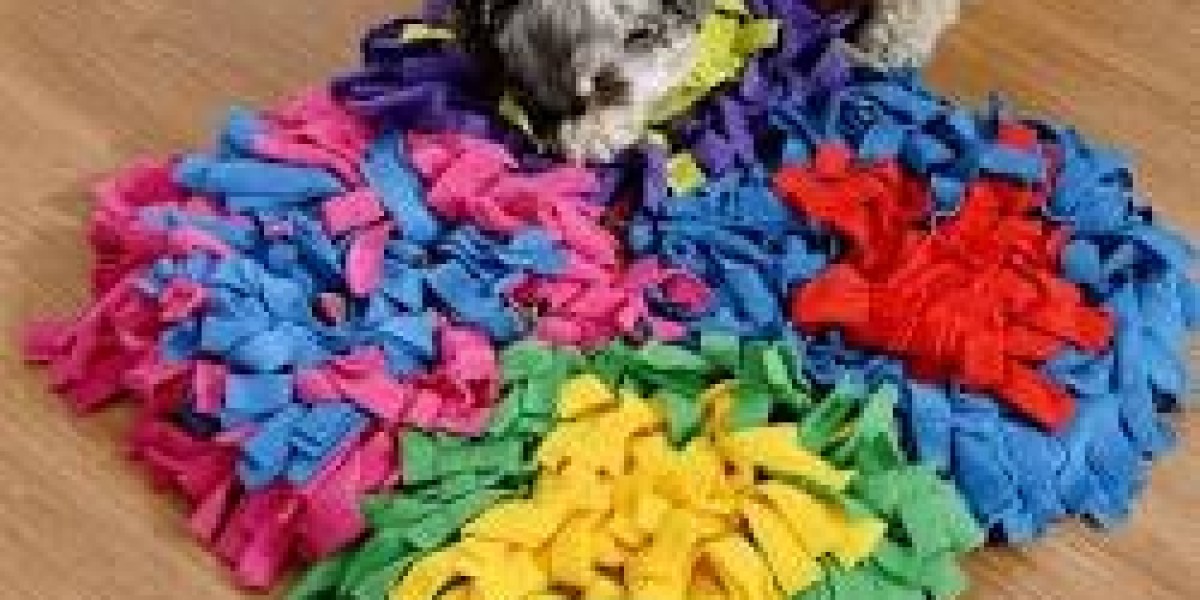 Snuffle Mats: The Best Enrichment Toy for Dogs